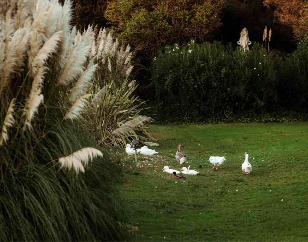 masia natural events Barcelona