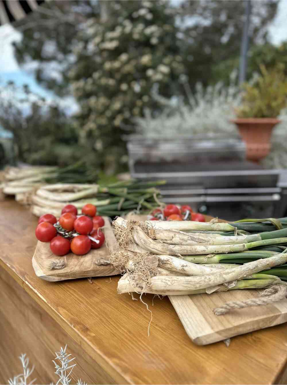 Mas de Sant Lleí Events gastronomía